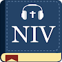 Audio Bible Study NIV 1984