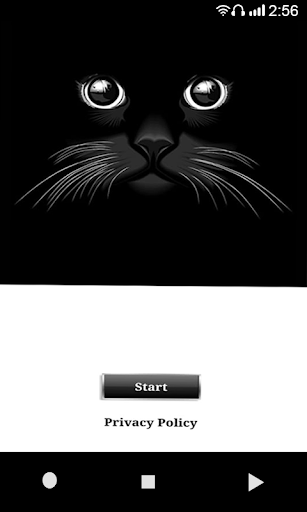 Meow Noises - Cat Sounds