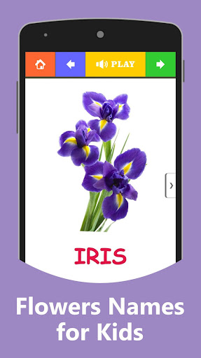 Flowers Name Learning for kids
