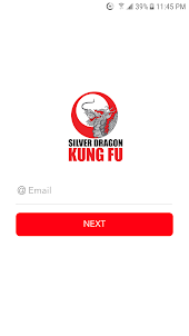 Silver Dragon Kung Fu