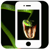 Snake on Screen: Scary Reptile Live Cobra Snake icon