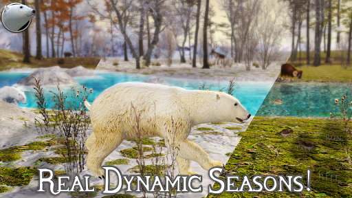 Polar Bear Simulator 2 v3.0 MOD APK (Unlimited Skill Point)