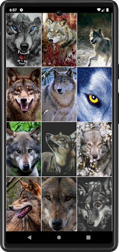 Wolf Wallpapers Screenshot 2 - AppWisp.com