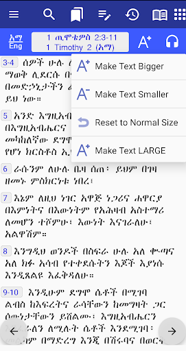Bible in Amharic and Geez, KJV Screen 3