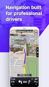 Sygic Truck GPS Navigation & Maps 1