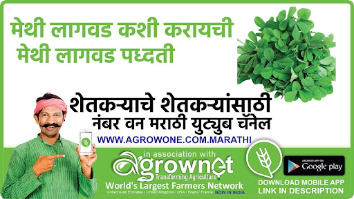 तमालपत्र लागवड #Agrownet™ Screen 3