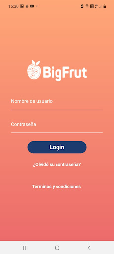 Bigfrut Screen 2
