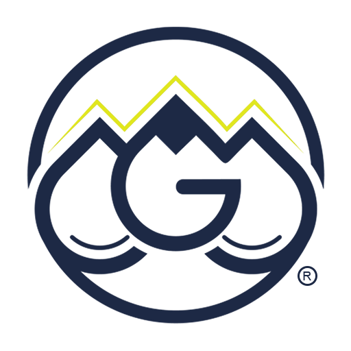 TMG The Experience logo