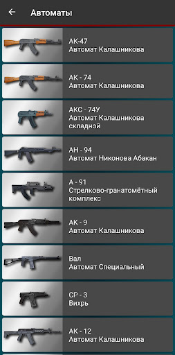 Russian weapon Screen 3