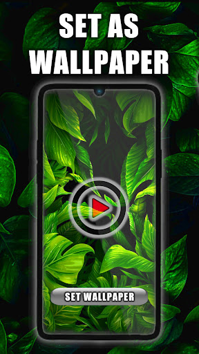 Android application Leaf Live Wallpaper screenshort