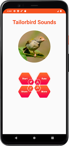 Tailorbird Sounds Screen 2