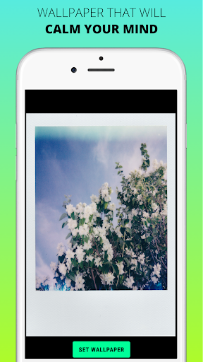 WALLPEX - 4k Wallpaper app