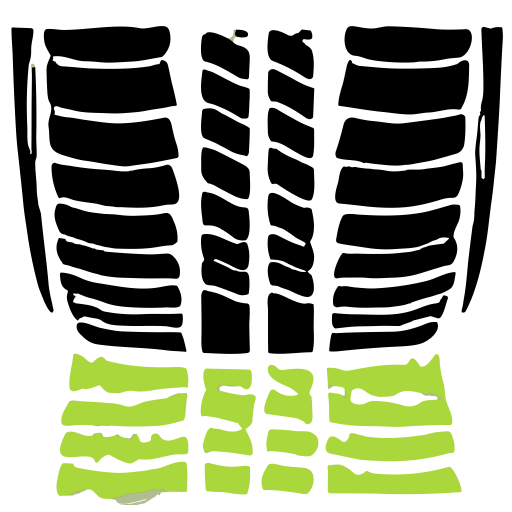 Signus Pesaje logo