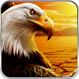 American Eagle Freedom Run icon