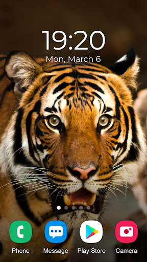 Tiger 3D Video Live Wallpaper – Apps on Google Play