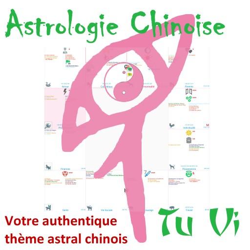 Astrologie Chinoise- Tu Vi - B logo