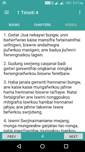 Bodo Bible Screen 2
