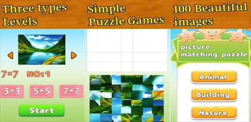 Picture Matching Puzzles