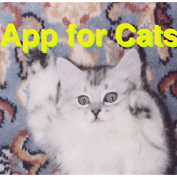 Icon image Ball App for Cats