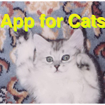 Ball App for Cats Apk