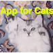 猫用アプリ ボール版