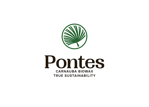 Pontes Carnauba Biowax Screen 3