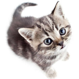 Icon image Save The Kitten