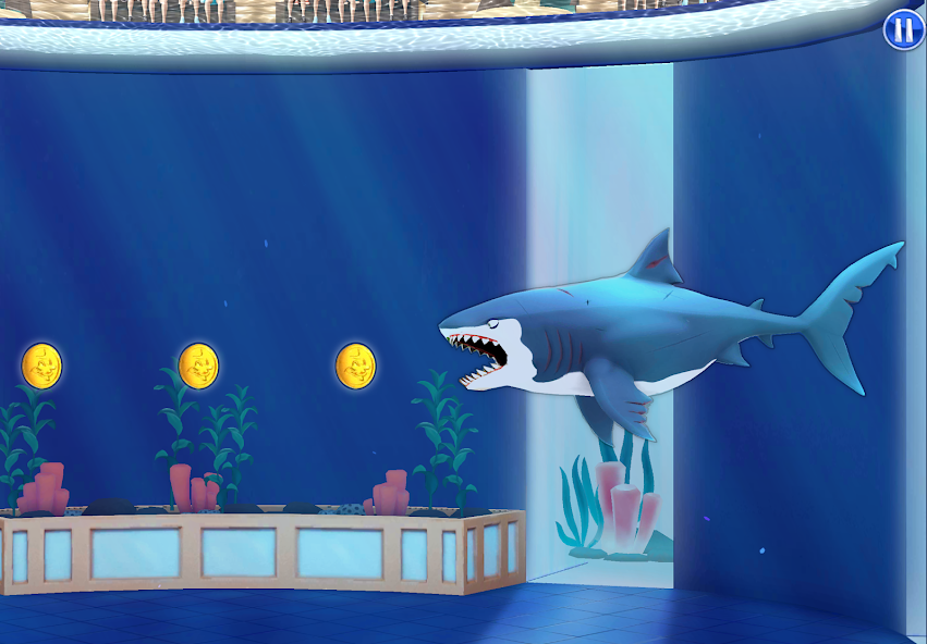 My Shark Show banner