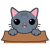 Cat in Box icon