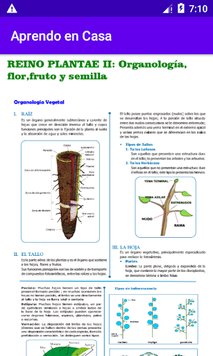 Educación Gratuita Screen 2