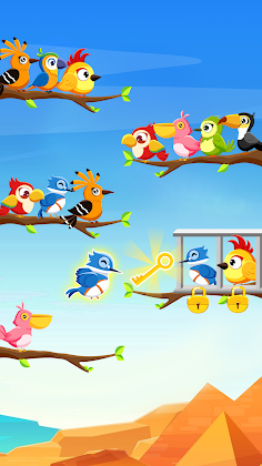 Color Bird Game: Sort It Now - Screenshot 2