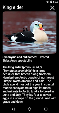 Birds of North America: Decoysのおすすめ画像4