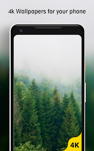 Android application Forest Wallpaper screenshort