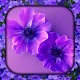 Lilac Live Wallpaper