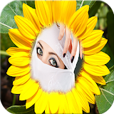 Sunflower photo frames icon
