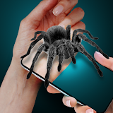 Spider on My Hand Joke icon