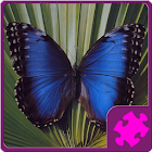 Butterfly Puzzle 1.00