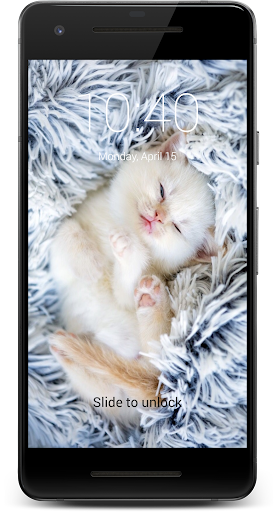 Cute Kittens HD Lock Screen