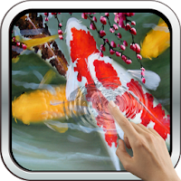 Interactive Koi Fish 3D