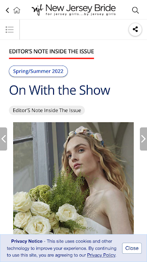 New Jersey Bride Magazine Screen 3
