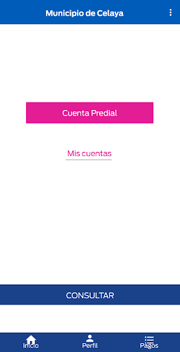 Celaya Móvil Screen 3