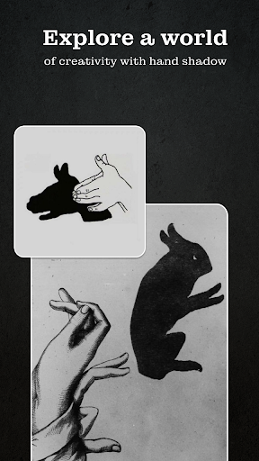 Hand Shadow Art Ideas Screen 3