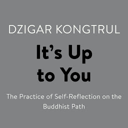 Icon image It's Up to You: The Practice of Self-Reflection on the Buddhist Path