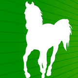 Horse Racing Handicapping icon