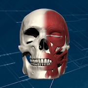 Top 23 Medical Apps Like Face 3D Plus - Best Alternatives
