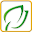 Springlish Download on Windows