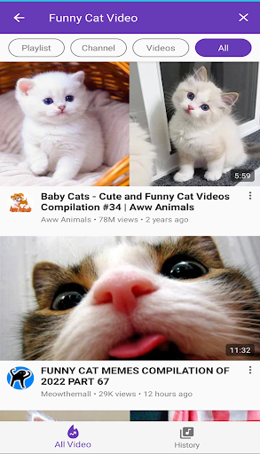 Mp3 Paw Music Video Screen 3
