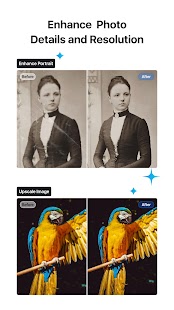 VN - Video-Editor & Foto Screenshot