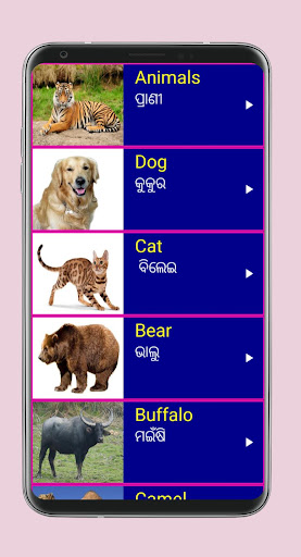 Learn English from Odia - Apps on Google Play