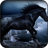 Black Horse Wallpapers icon